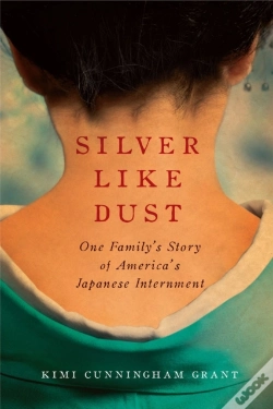 Capa do artigo Silver Like Dust
