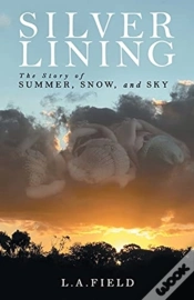 Capa do artigo Silver Lining