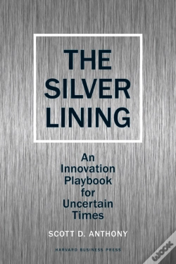 Capa do artigo Silver Lining