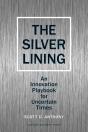 Silver Lining - Preview
