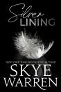 Silver Lining - Preview