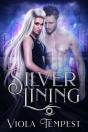 Silver Lining - Preview