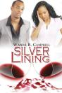 Silver Lining - Preview