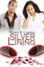 Silver Lining - Preview