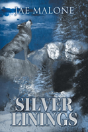 Silver Linings - Preview