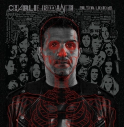 Capa do artigo Silver Linings - Vinil