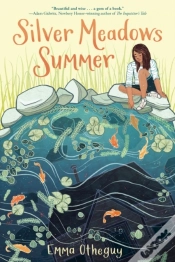 Capa do artigo Silver Meadows Summer