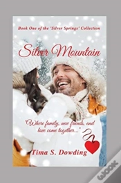 Capa do artigo Silver Mountain