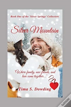 Capa do artigo Silver Mountain