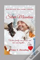 Silver Mountain