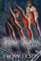 Capa do artigo Silver Rogue