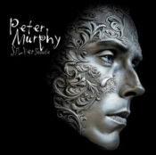 Capa do artigo Silver Shade - CD