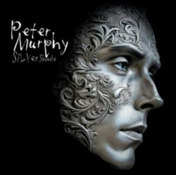 Capa do artigo Silver Shade - Vinil