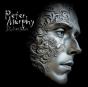 Silver Shade - Vinil - Preview