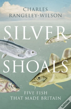 Capa do artigo Silver Shoals
