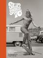 Silver. Skate. Seventies. - Preview