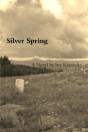 Silver Spring - Preview