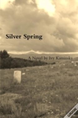 Capa do artigo Silver Spring