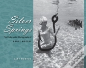 Capa do artigo Silver Springs