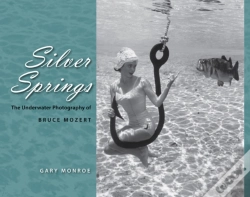 Capa do artigo Silver Springs