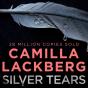 Silver Tears - Preview
