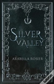 Capa do artigo Silver Valley