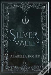 Capa do artigo Silver Valley