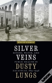 Silver Veins, Dusty Lungs