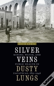 Capa do artigo Silver Veins, Dusty Lungs