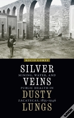 Capa do artigo Silver Veins, Dusty Lungs