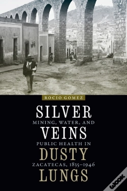 Capa do artigo Silver Veins, Dusty Lungs