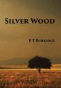Silver Wood - Preview