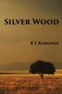 Silver Wood - Preview