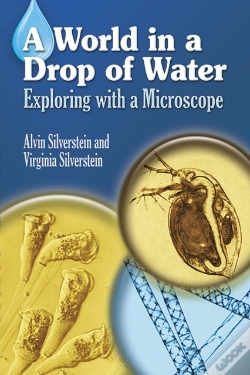 Capa do artigo Silverstein'S World In A Drop