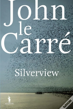 Capa do artigo Silverview