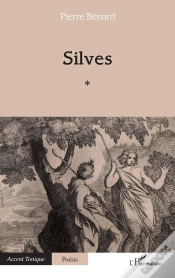 Capa do artigo Silves