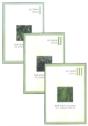 Silviculture Of Indian Trees -- 3-Volume Set - Preview
