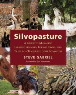 Capa do artigo Silvopasture