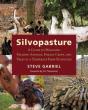 Silvopasture - Preview