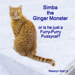 Capa do artigo Simba The Ginger Monster