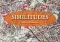 Similitudes - Preview