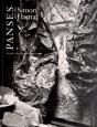 Simon Hantai Panses 1964 - Preview