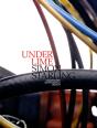 Simon Starling - Preview