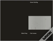 Capa do artigo Simon Starling