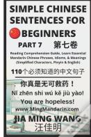 Simple Chinese Sentences For Beginners (Part 7)