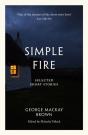 Simple Fire - Preview
