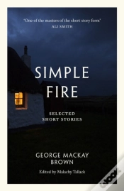 Capa do artigo Simple Fire