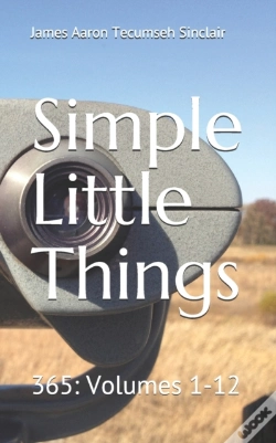 Capa do artigo Simple Little Things
