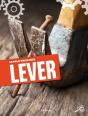 Simple Machines Lever - Preview