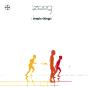 Simple Things - Vinil - Preview